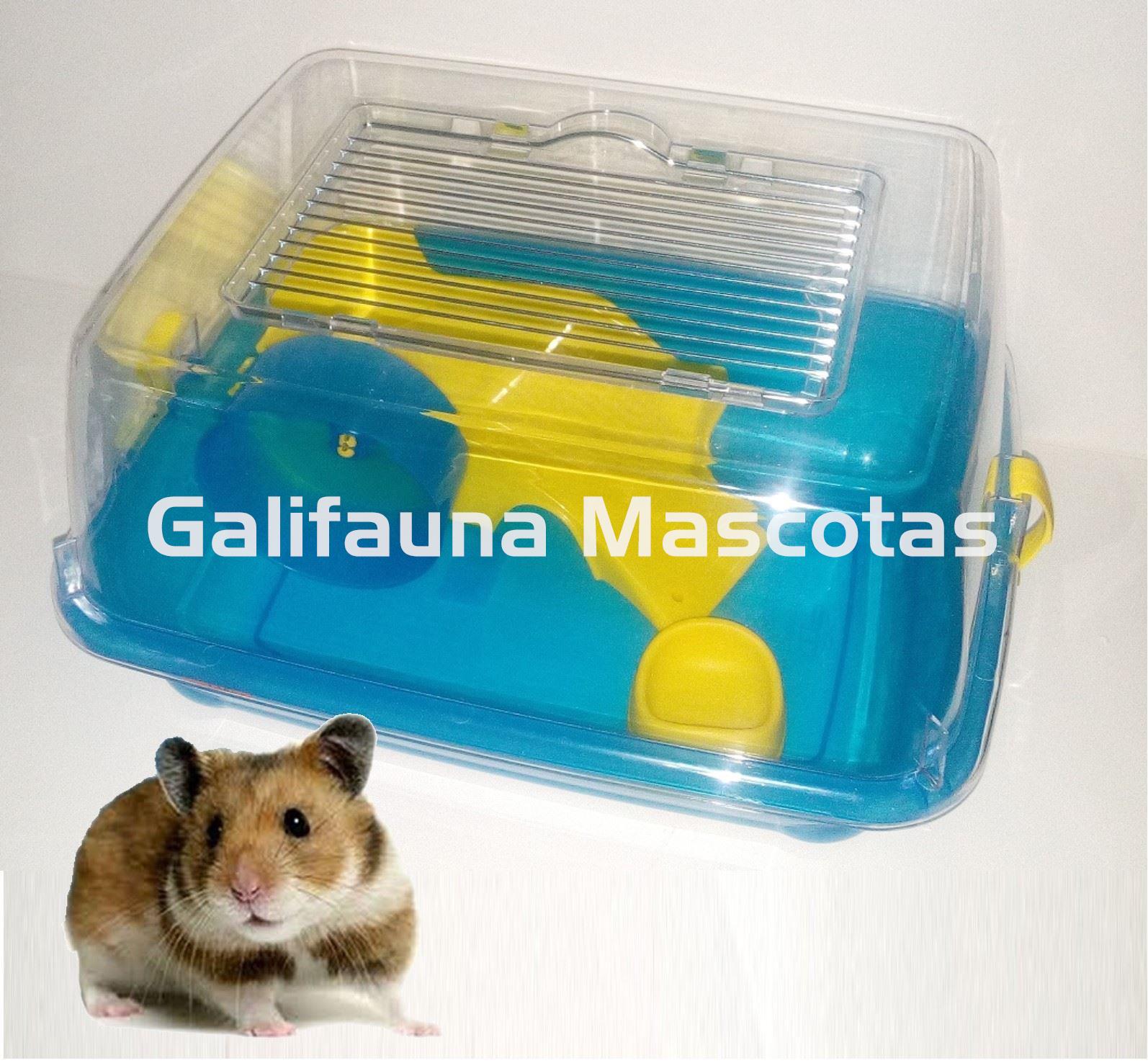 Jaula acrílica para hamsters, jerbos y otros pequeños roedores. - Imagen 1
