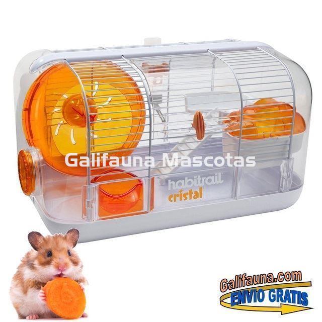 JAULA HABITRAIL CRISTAL para hamsters, jerbos y otros pequeños roedores. - Imagen 1