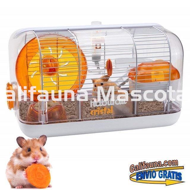 JAULA HABITRAIL CRISTAL para hamsters, jerbos y otros pequeños roedores. - Imagen 3