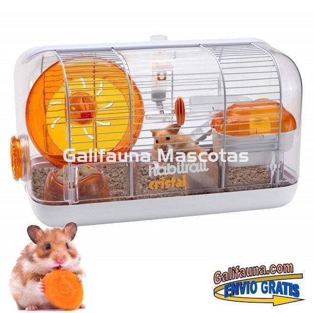 JAULA HABITRAIL CRISTAL para hamsters, jerbos y otros pequeños roedores. - Imagen 3