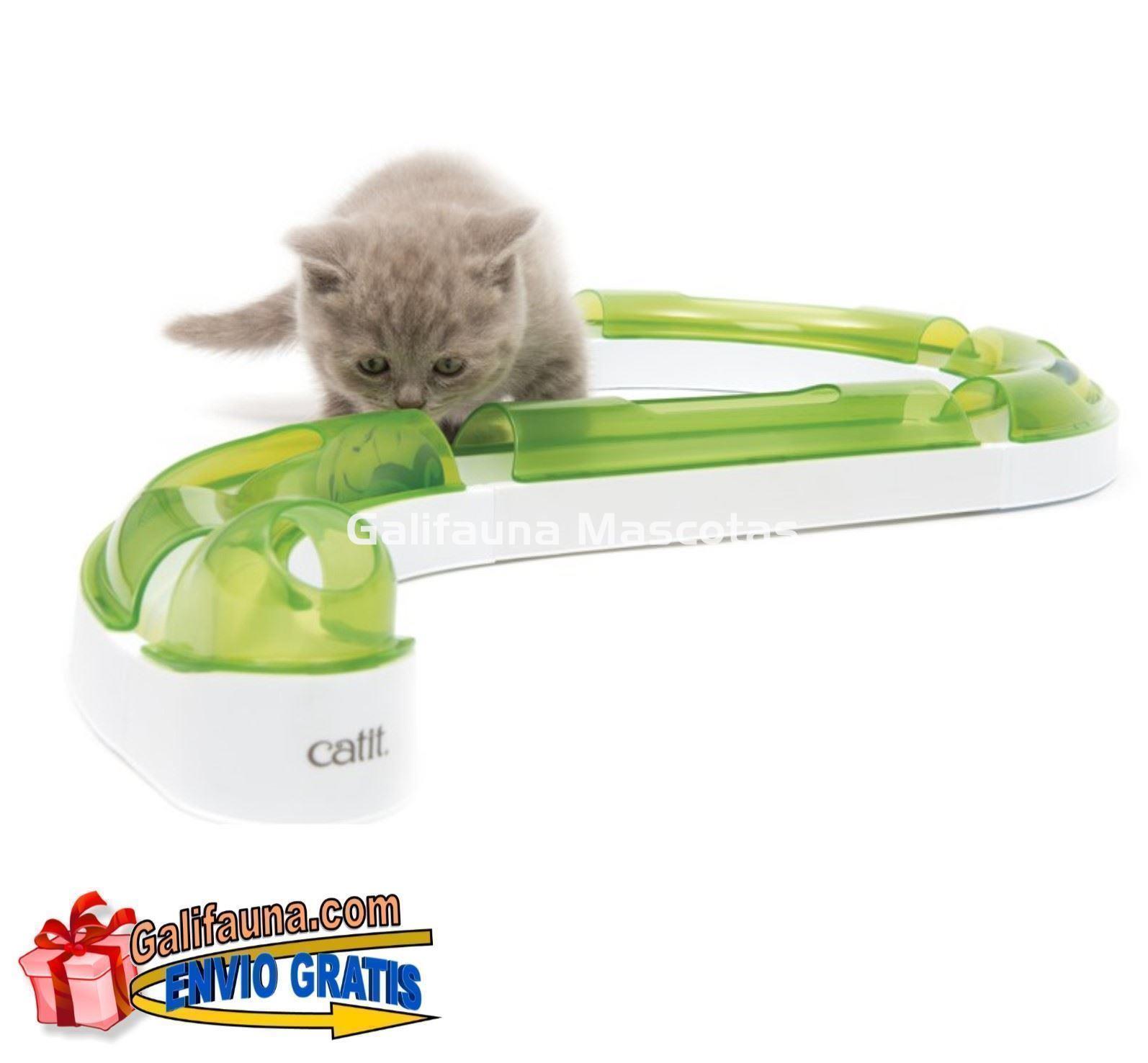 Juguete para gato CIRCUITO PLAY SENSES 2.0 CATIT. - Imagen 1