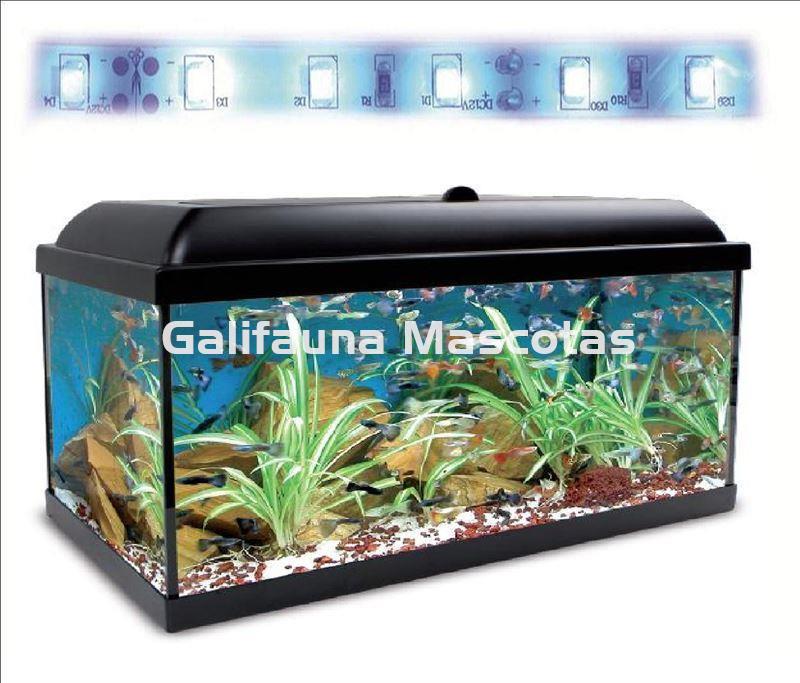 Kit acuario 100 con filtro exterior - Imagen 1