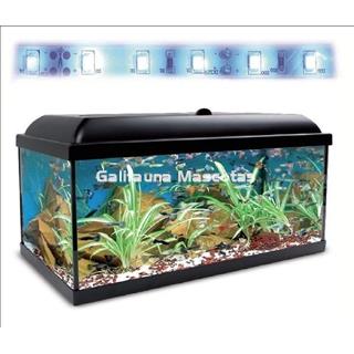 Kit acuario 100 con filtro exterior - Imagen 1