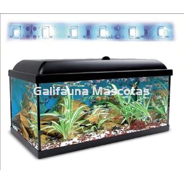 Kit acuario 100 con filtro exterior - Imagen 1