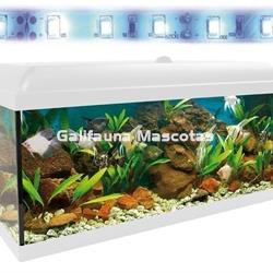 Kit acuario 100 con filtro exterior - Imagen 2