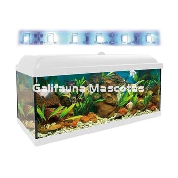 Kit acuario 100 con filtro exterior - Imagen 2