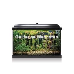Kit acuario 68 litros (Galifauna Compra Inteligente.) - Imagen 1