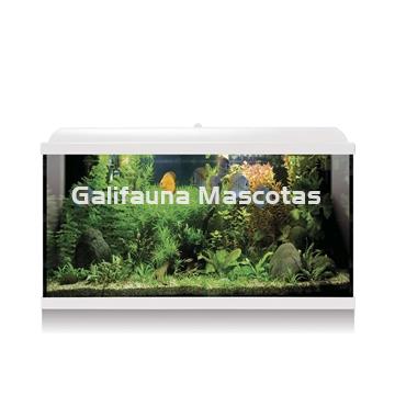 Kit acuario 88 litros (Galifauna Compra Inteligente.) - Imagen 2