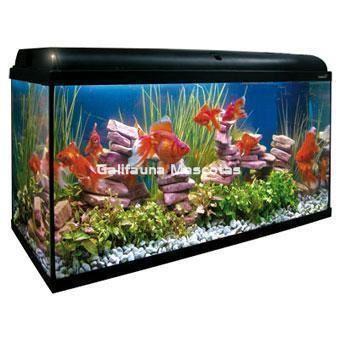 Kit Acuario Aqua-Light 200 litros. Kit completo. - Imagen 1