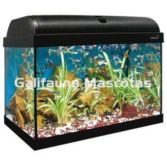 Kit acuario aqualight 25 litro. KALI 25. Filtro interior. - Imagen 1