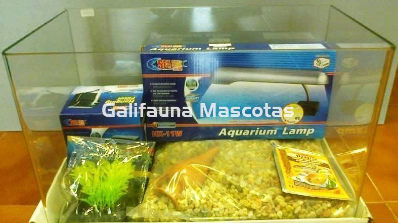 Kit acuario cristal con esquinas redondeadas. Diseño a buen precio. - Imagen 3