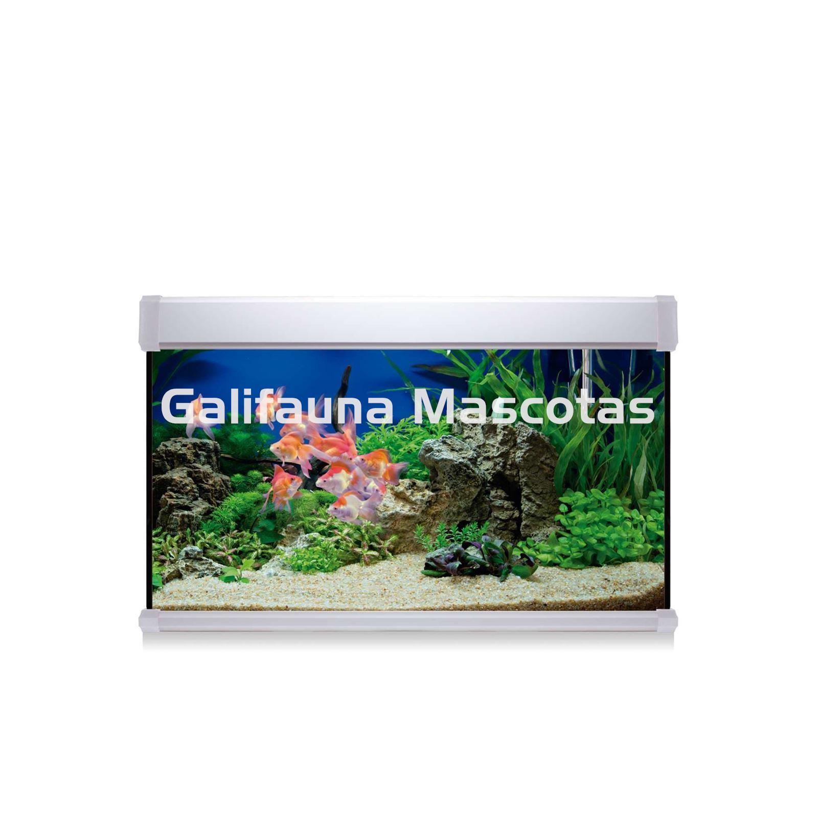 KIT ACUARIO de 100 litros AQUALUXPRO + MESA AQUA STAND - Imagen 3