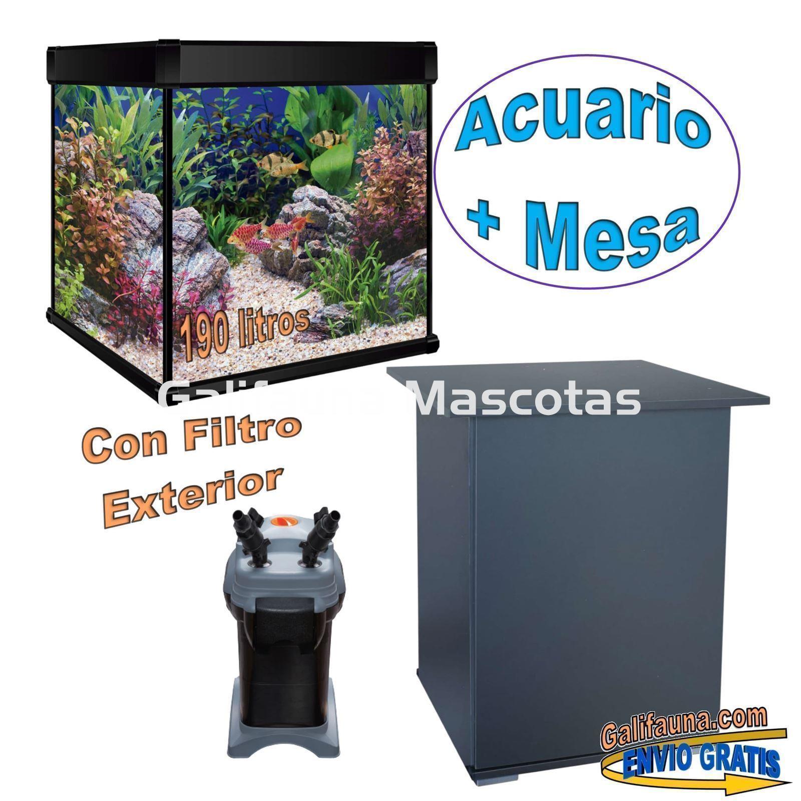 KIT ACUARIO de 190 litros AQUALUXPRO + MESA con filtro exterior - Imagen 2