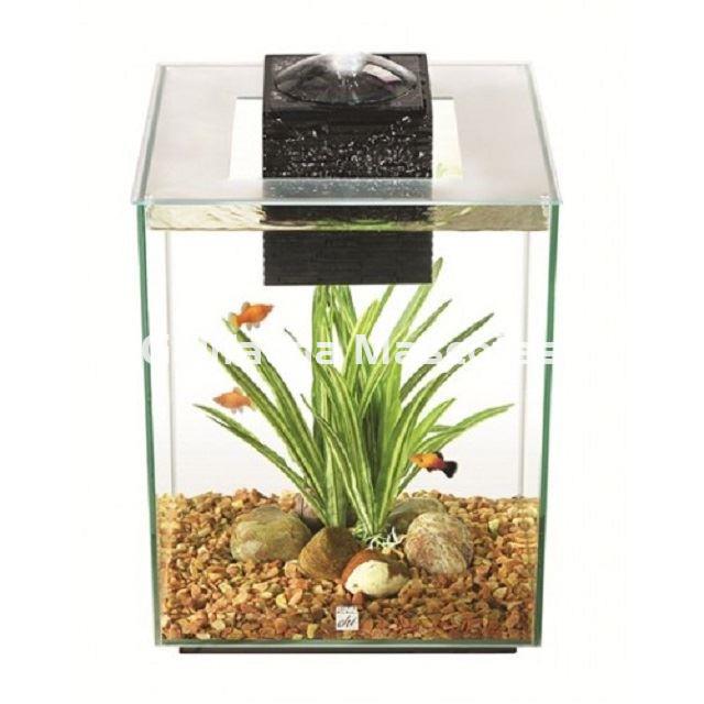 KIT ACUARIO FLUVAL CHI 19 litros. Crea un mundo ZEN en tu hogar. - Imagen 1