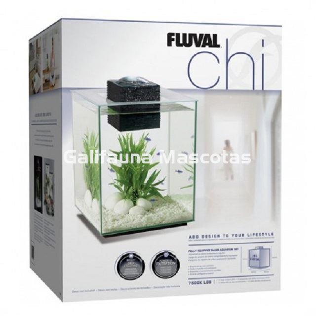 KIT ACUARIO FLUVAL CHI 19 litros. Crea un mundo ZEN en tu hogar. - Imagen 2