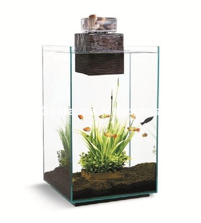 KIT ACUARIO FLUVAL CHI 25 litros. Crea un mundo ZEN en tu hogar. - Imagen 1