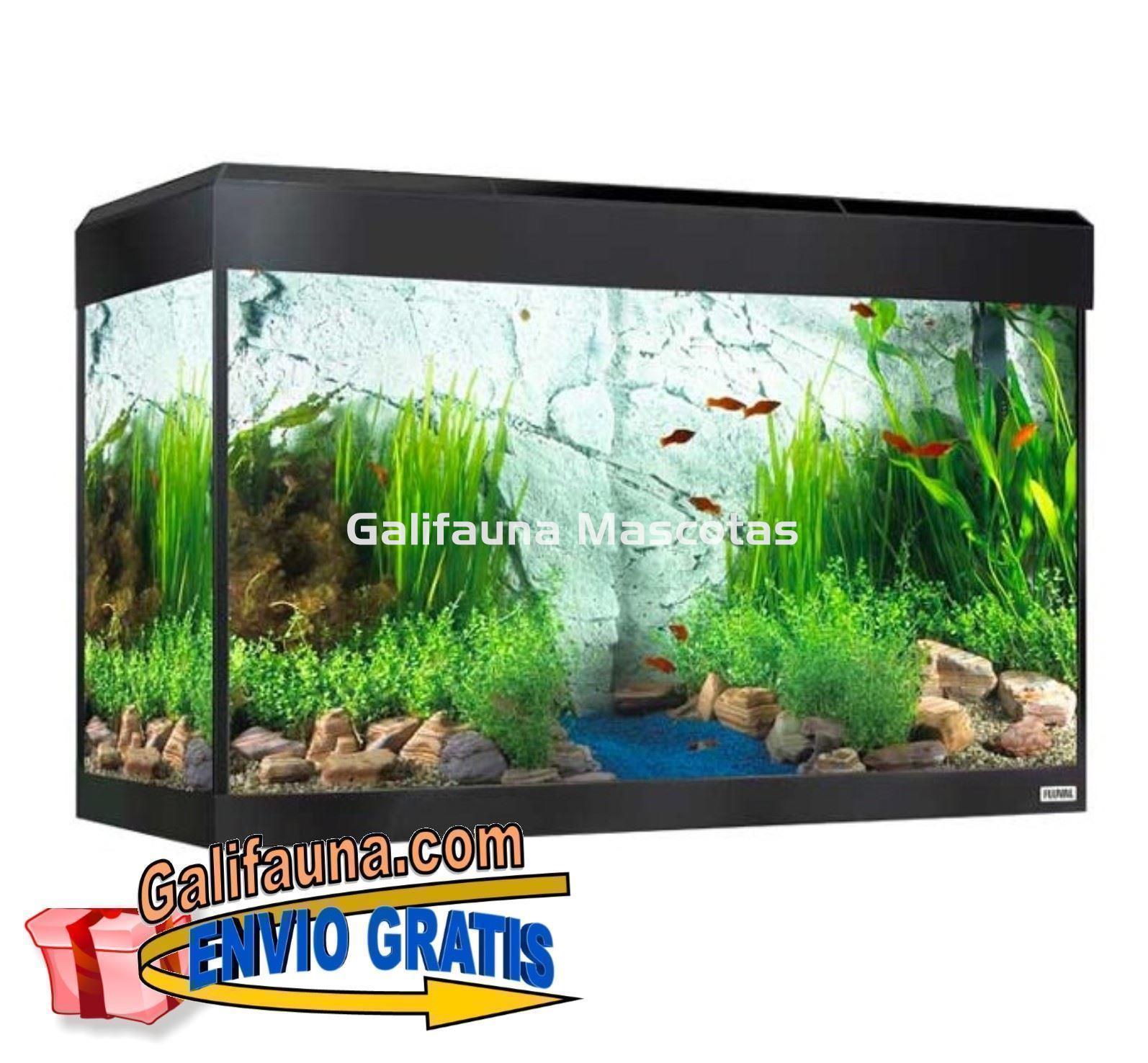 KIT ACUARIO FLUVAL ROMA 125 LED. - Imagen 1