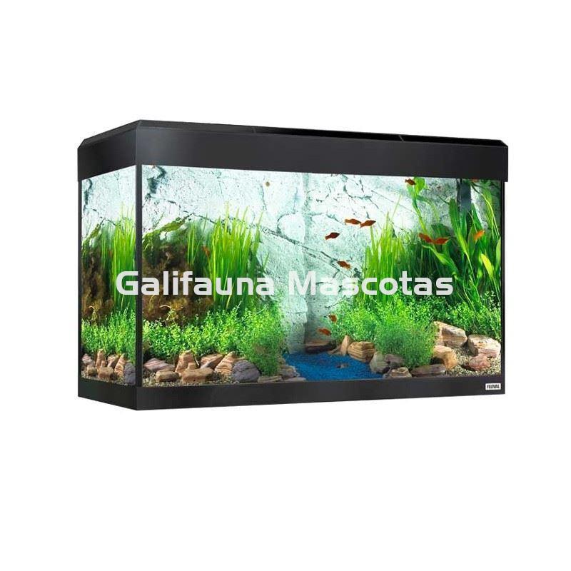 KIT ACUARIO FLUVAL ROMA 125 LED. - Imagen 3