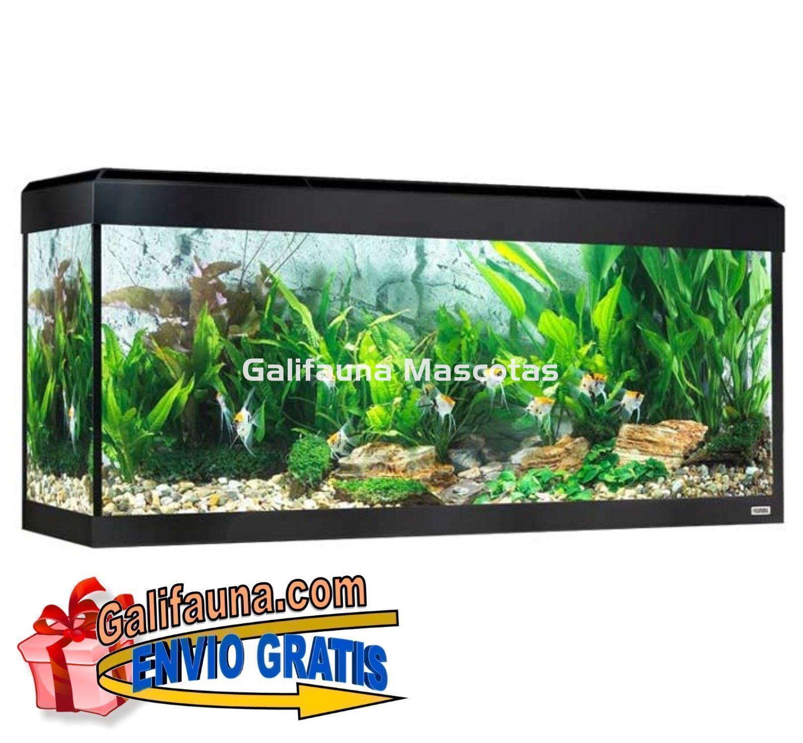 KIT ACUARIO FLUVAL ROMA 240 LED. - Imagen 1