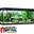 KIT ACUARIO FLUVAL ROMA 240 LED. - Imagen 1