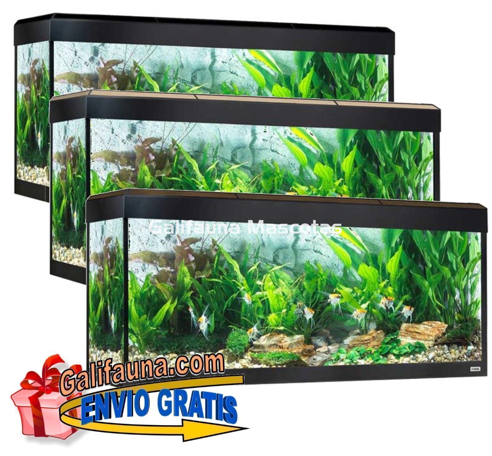 KIT ACUARIO FLUVAL ROMA 240 LED. - Imagen 2