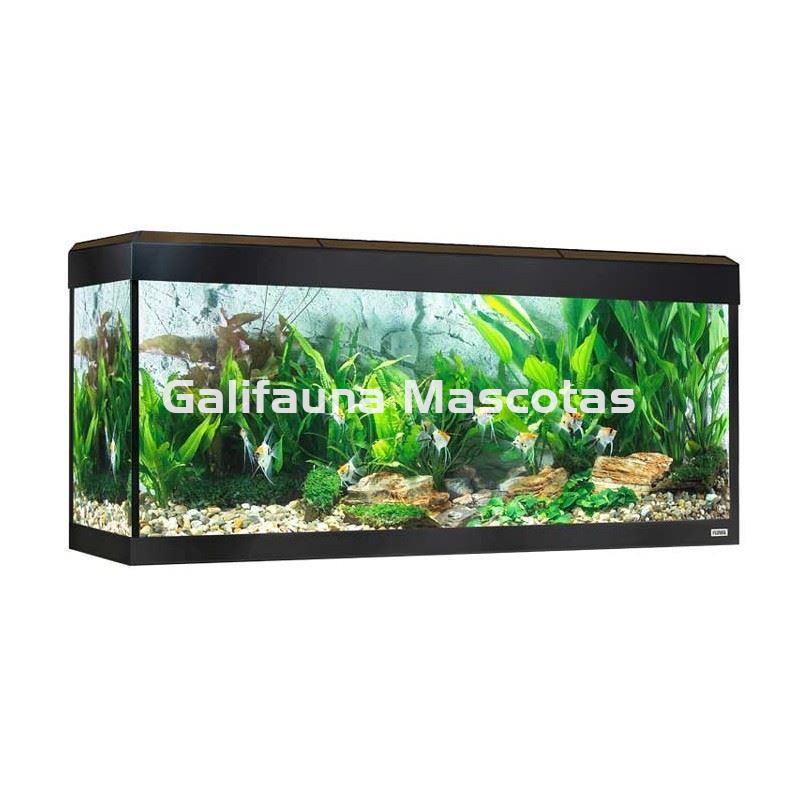 KIT ACUARIO FLUVAL ROMA 240 LED. - Imagen 3