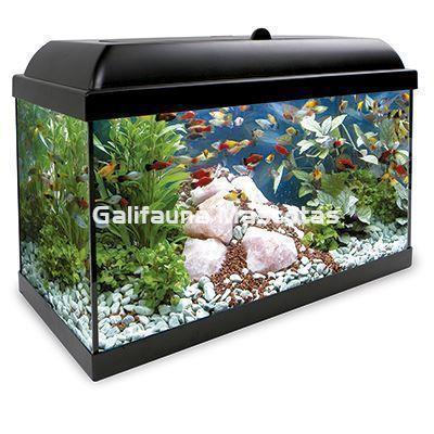 Kit acuario HYDRA  80 l. Mantener un acuario nunca fue tan fácil. - Imagen 3