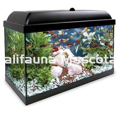 Kit acuario HYDRA LED AZUL 150 l. Con iluminación LED blanca y azul - Imagen 2