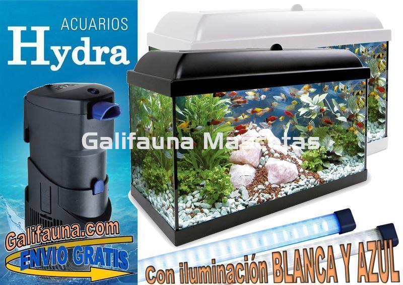 Kit acuario HYDRA LED AZUL  80 l. Con iluminación LED blanca y azul - Imagen 1