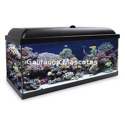 Kit acuario HYDRA MARINO 240 l. El acuario de agua salada nunca fue tan fácil. - Imagen 2