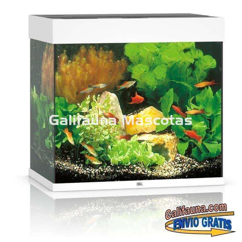 Kit Acuario Juwel LIDO 120 litros. - Imagen 3