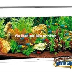Kit Acuario Juwel Rio 180 litros. - Imagen 1