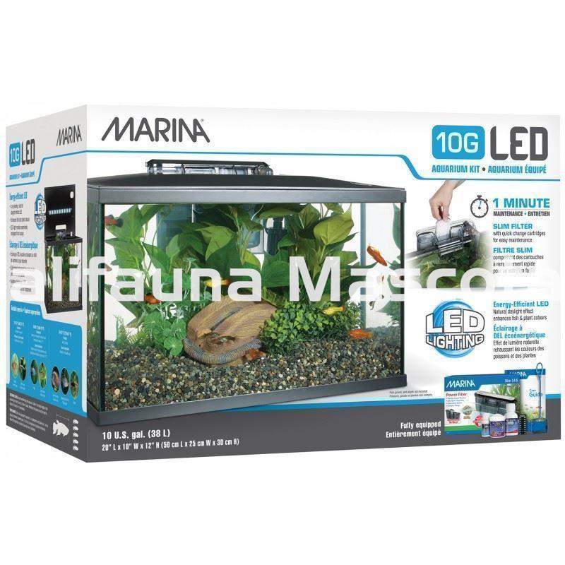 Kit acuario MARINA LED de 20 litros. - Imagen 2