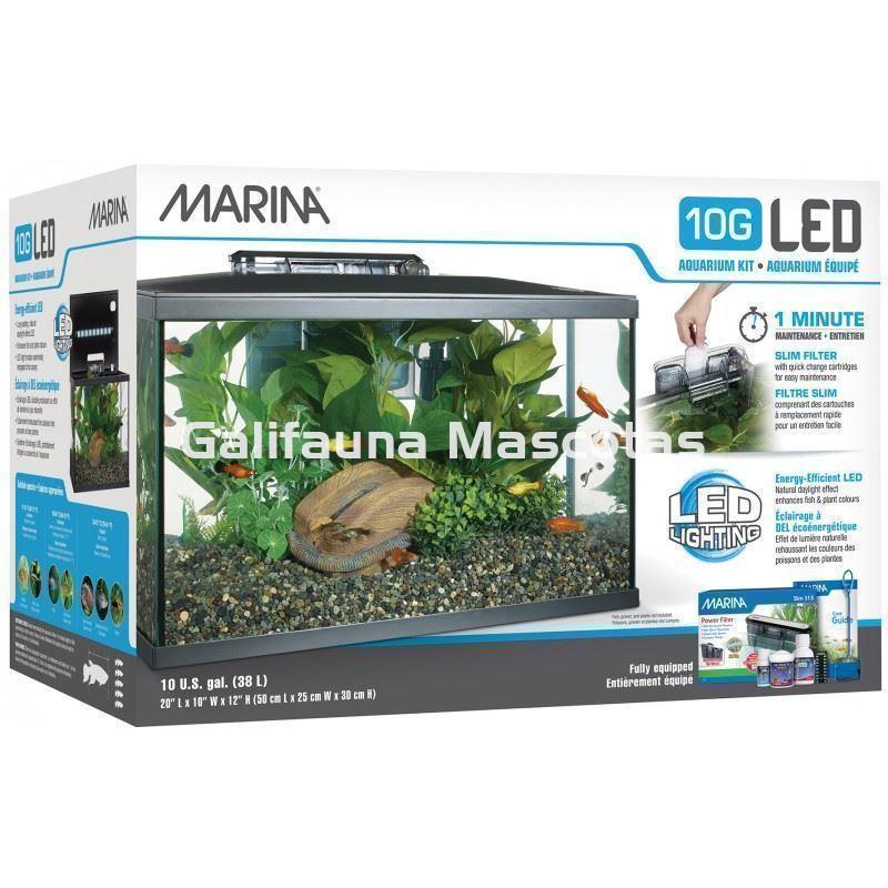 Kit acuario MARINA LED de 20 litros. - Imagen 2