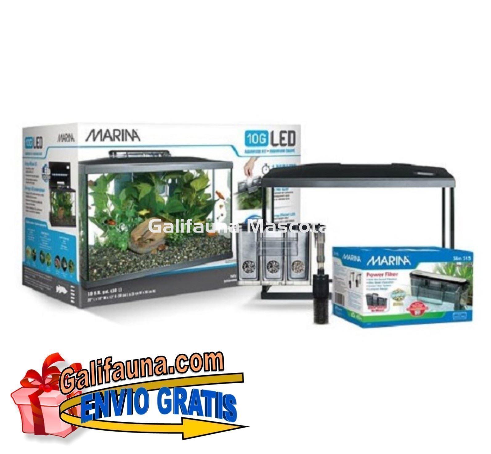 Kit acuario MARINA LED de 38 litros. - Imagen 1