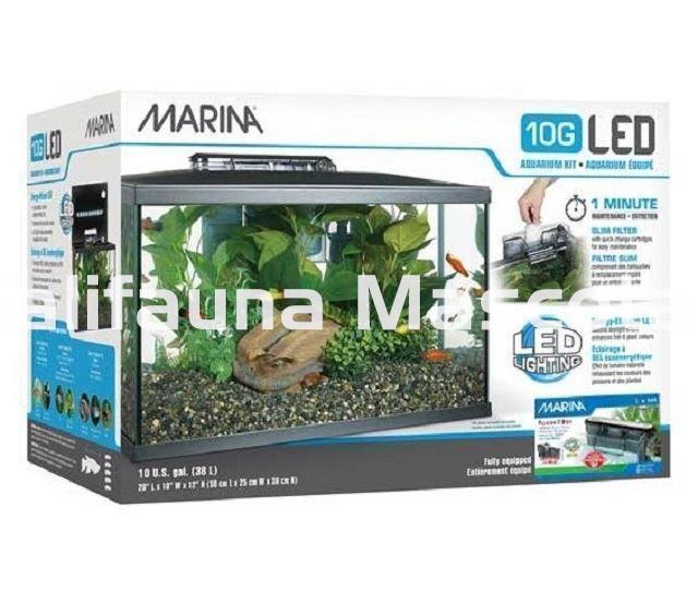 Kit acuario MARINA LED de 38 litros. - Imagen 2