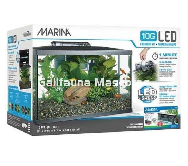 Kit acuario MARINA LED de 38 litros. - Imagen 2