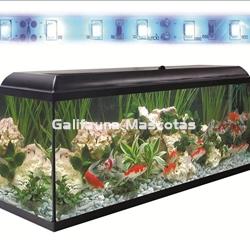 Kit acuario + Mesa Aqua-LED 130 litros. ACUARIO + MESA. COLOR NEGRO - Imagen 2