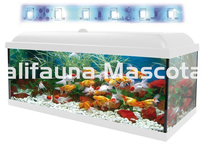 Kit acuario + Mesa Aqua-LED 130 litros. ACUARIO + MESA. - Imagen 3