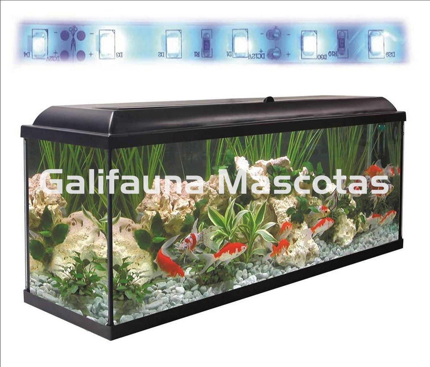 Kit acuario + Mesa Aqua-LED 130 litros. ACUARIO + MESA. - Imagen 5
