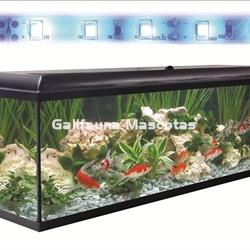 Kit acuario + Mesa Aqua-LED 240 litros. ACUARIO + MESA AQUA STAND - Imagen 2
