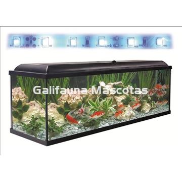 Kit acuario + Mesa Aqua-LED 240 litros. ACUARIO + MESA AQUA STAND - Imagen 2
