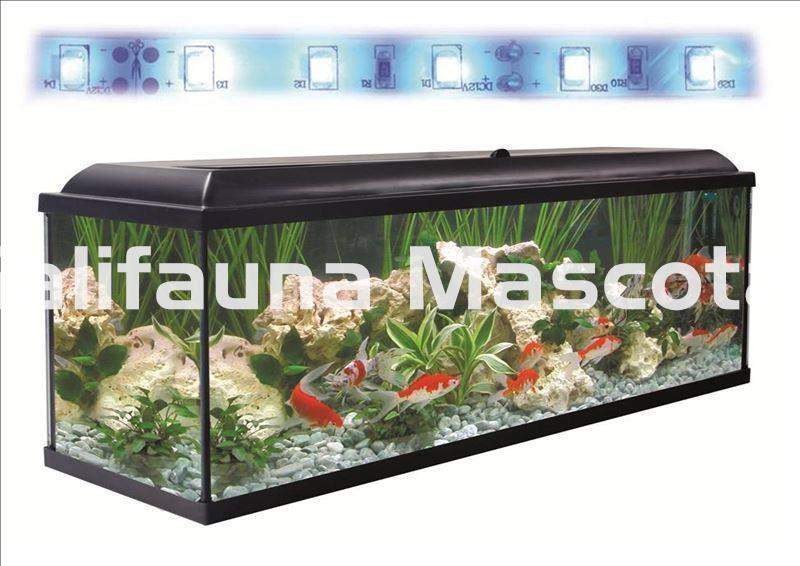 Kit acuario + Mesa Aqua-LED 240 litros. ACUARIO + MESA. - Imagen 3