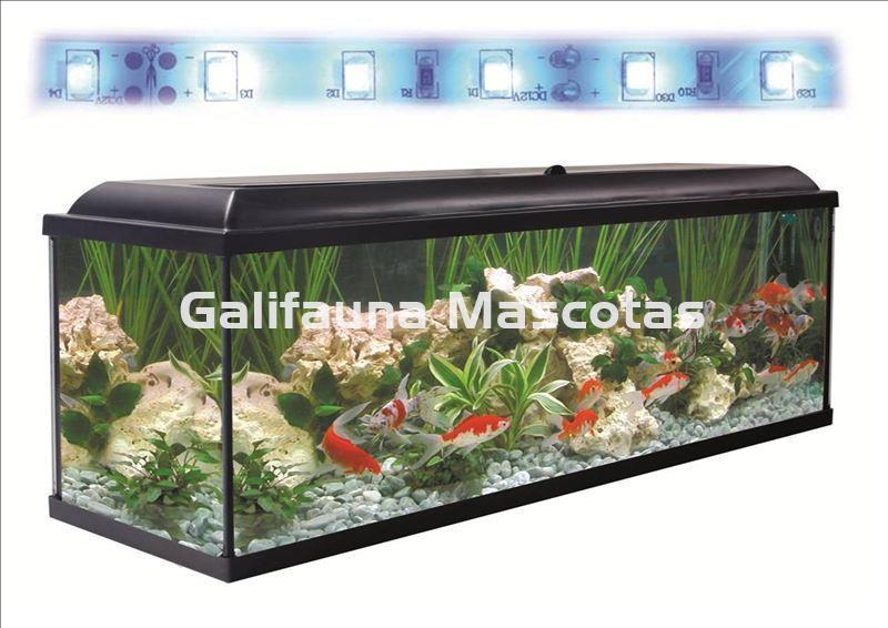 Kit acuario + Mesa Aqua-LED 240 litros. ACUARIO + MESA. - Imagen 3