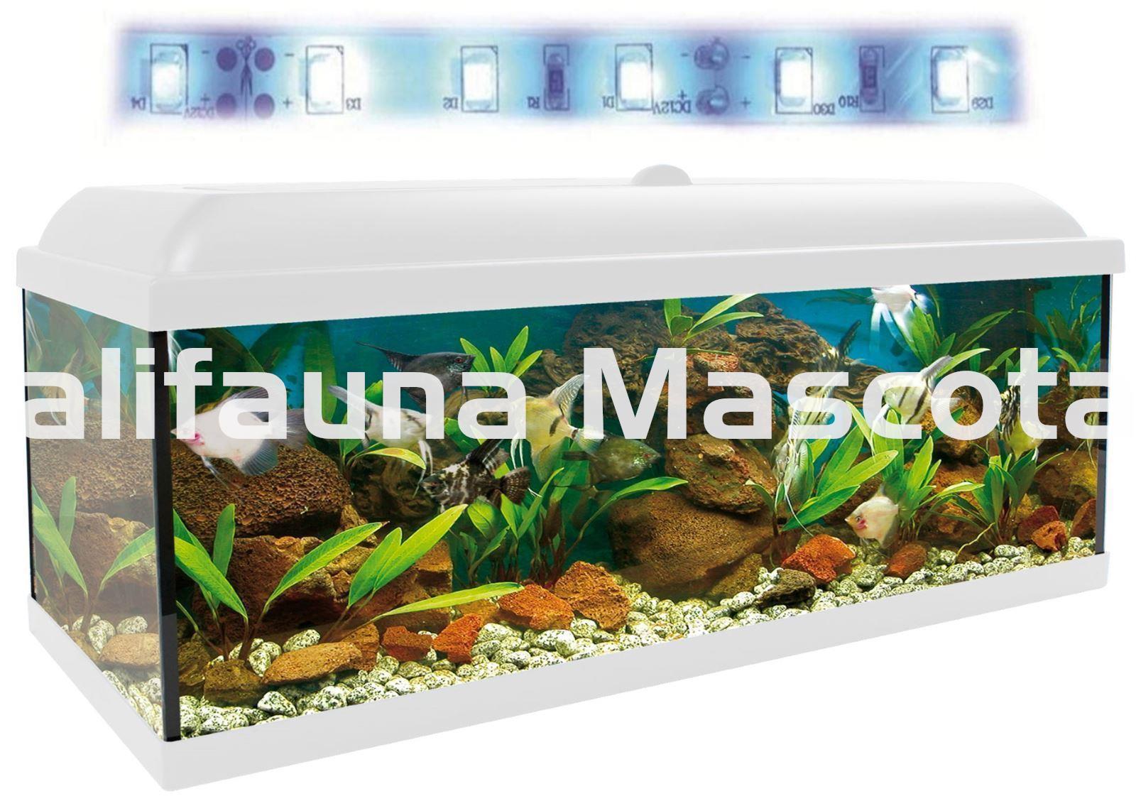Kit acuario + Mesa Aqua-LED 240 litros. ACUARIO + MESA. - Imagen 5