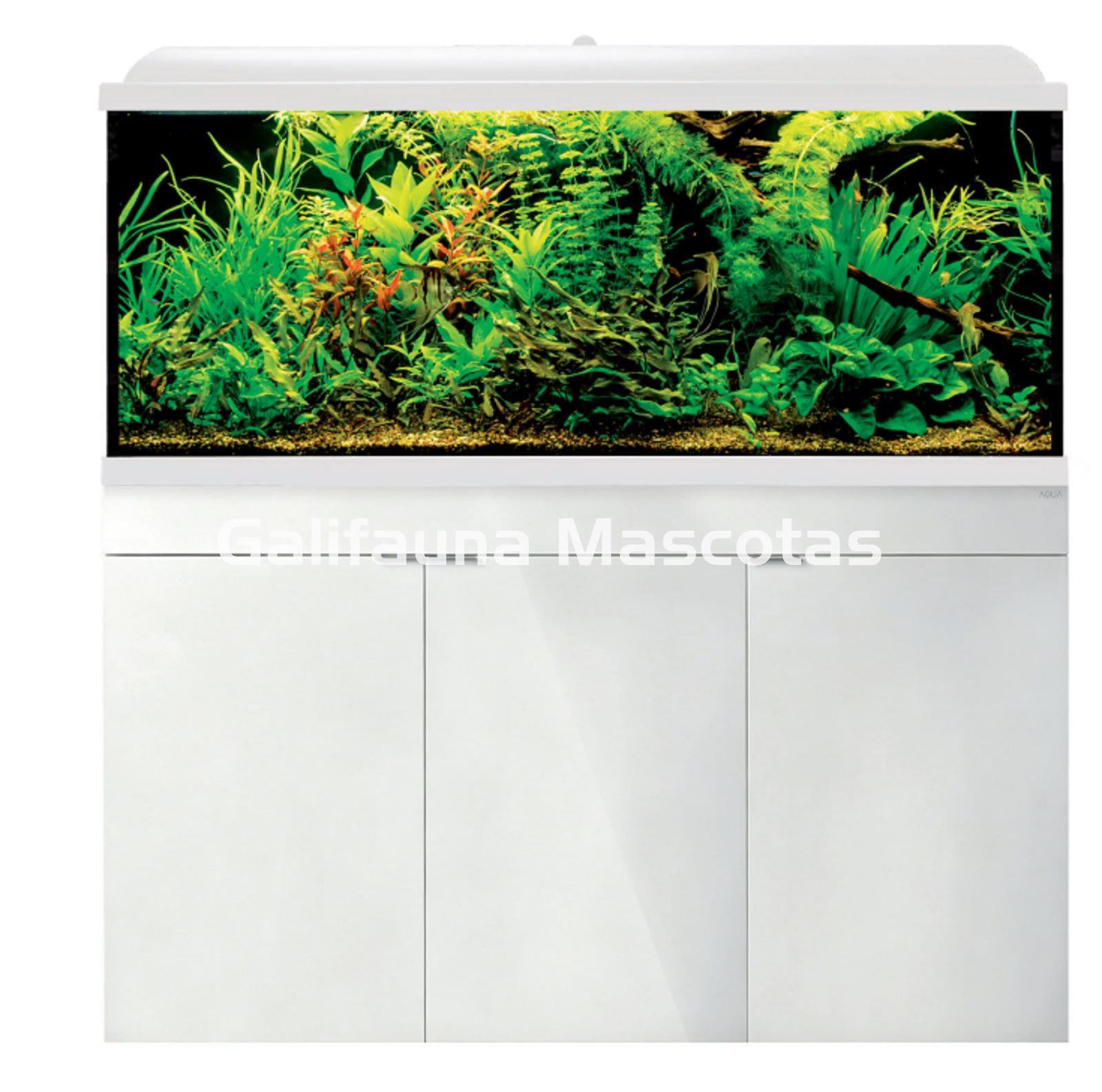 Kit acuario + Mesa Aqua-LED 300 litros. ACUARIO + MESA AQUA STAND - Imagen 1