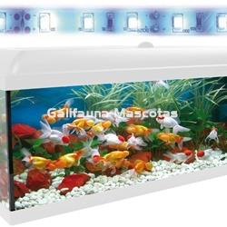 Kit acuario + Mesa Aqua-LED 300 litros. ACUARIO + MESA AQUA STAND - Imagen 2