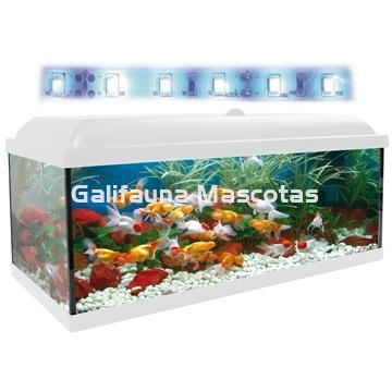 Kit acuario + Mesa Aqua-LED 300 litros. ACUARIO + MESA AQUA STAND - Imagen 2