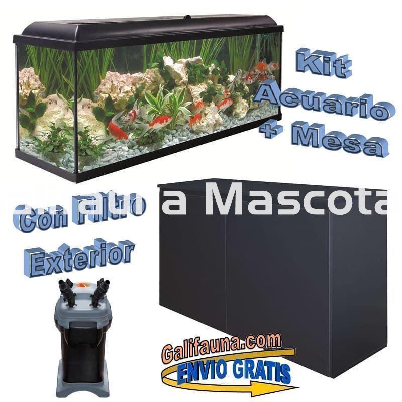 Kit acuario + Mesa Aqua-LED 300 litros. ACUARIO + MESA. - Imagen 1