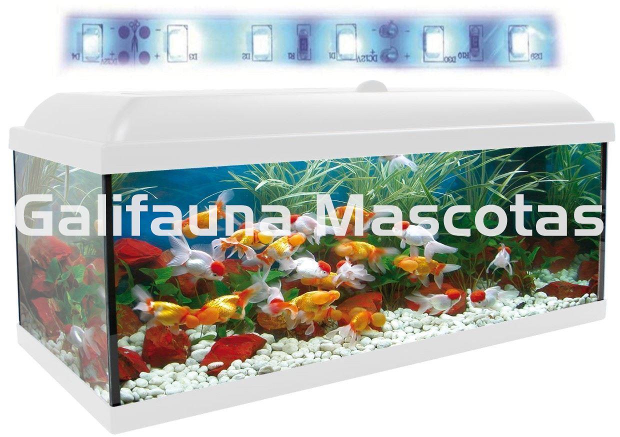 Kit acuario + Mesa Aqua-LED 300 litros. ACUARIO + MESA. - Imagen 5
